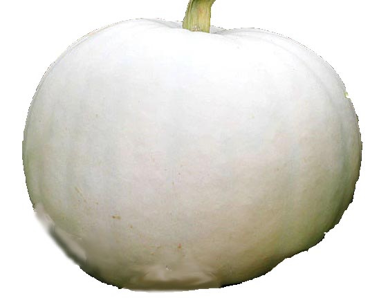 Crystal Star pumpkin