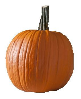 Tom Fox pumpkin